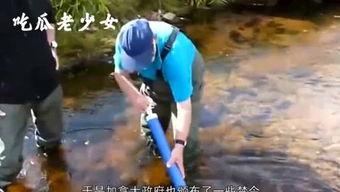 娱乐吃瓜老少女 第2张 娱乐吃瓜老少女 第2张